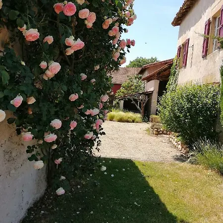 Domaine Du Feuillet